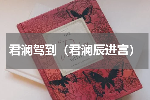 君澜驾到（君澜辰进宫）