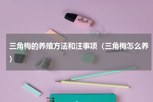 三角梅的养殖方法和注事项（三角梅怎么养）