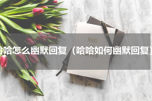 哈哈怎么幽默回复（哈哈如何幽默回复）