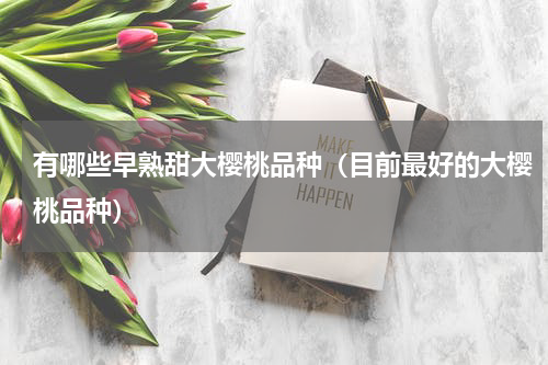 有哪些早熟甜大樱桃品种（目前最好的大樱桃品种）