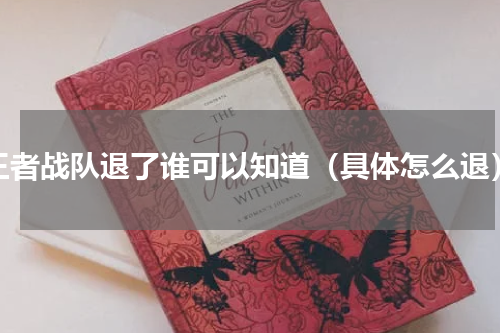 王者战队退了谁可以知道（具体怎么退）