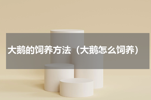 大鹅的饲养方法（大鹅怎么饲养）