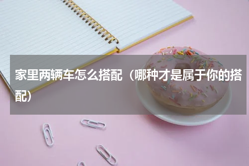 家里两辆车怎么搭配（哪种才是属于你的搭配）