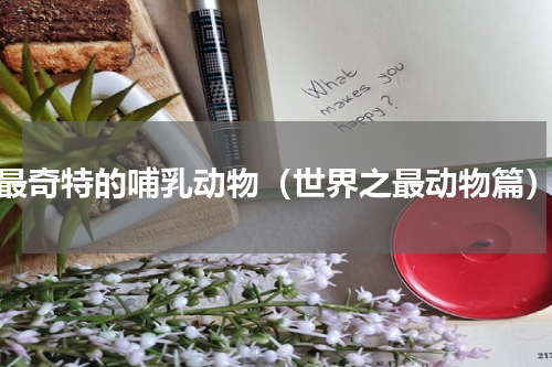 最奇特的哺乳动物（世界之最动物篇）