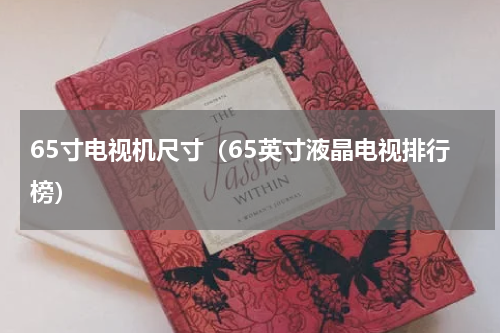 65寸电视机尺寸（65英寸液晶电视排行榜）
