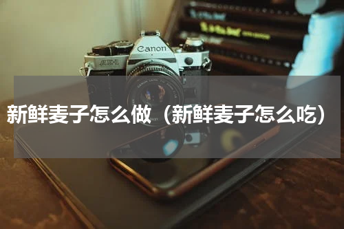 新鲜麦子怎么做（新鲜麦子怎么吃）