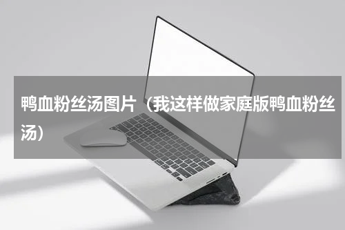 鸭血粉丝汤图片（我这样做家庭版鸭血粉丝汤）