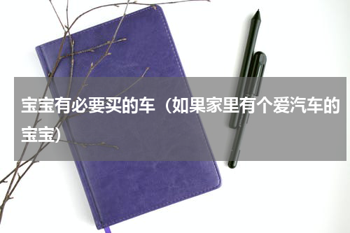 宝宝有必要买的车（如果家里有个爱汽车的宝宝）