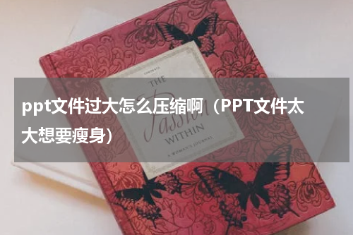 ppt文件过大怎么压缩啊（PPT文件太大想要瘦身）