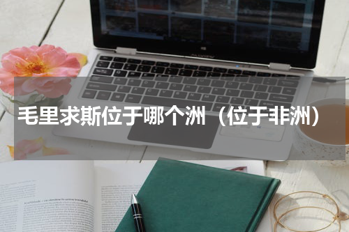 毛里求斯位于哪个洲（位于非洲）