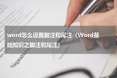word怎么设置脚注和尾注（Word基础知识之脚注和尾注）