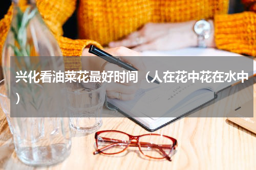 兴化看油菜花最好时间（人在花中花在水中）