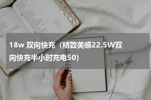 18w 双向快充（精致美感22.5W双向快充半小时充电50）