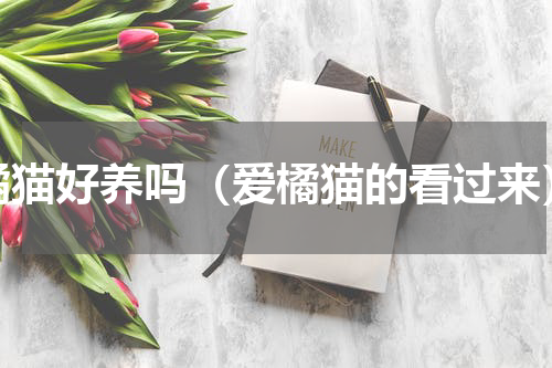 橘猫好养吗（爱橘猫的看过来）