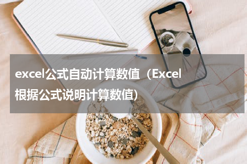 excel公式自动计算数值（Excel根据公式说明计算数值）