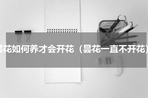 昙花如何养才会开花（昙花一直不开花）