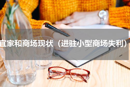 宜家和商场现状（进驻小型商场失利）