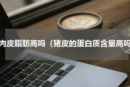 猪肉皮脂肪高吗（猪皮的蛋白质含量高吗）
