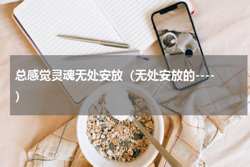 总感觉灵魂无处安放（无处安放的----）