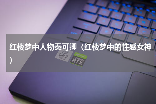 红楼梦中人物秦可卿（红楼梦中的性感女神）