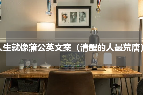 人生就像蒲公英文案（清醒的人最荒唐）