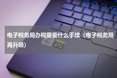 电子税务局办税需要什么手续（电子税务局再升级）
