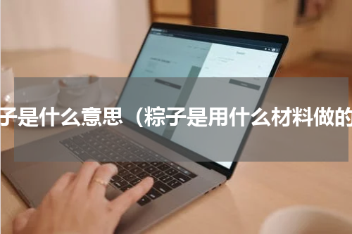 粽子是什么意思（粽子是用什么材料做的）