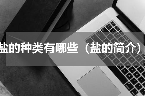 盐的种类有哪些（盐的简介）