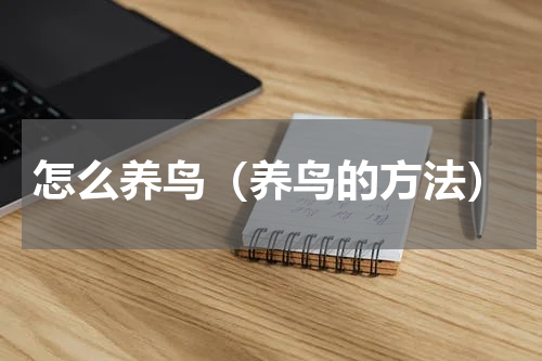 怎么养鸟（养鸟的方法）