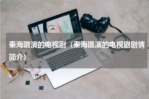 秦海璐演的电视剧（秦海璐演的电视剧剧情简介）