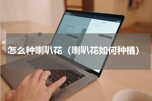 怎么种喇叭花（喇叭花如何种植）