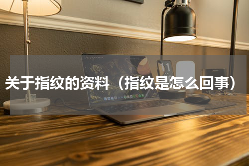 关于指纹的资料（指纹是怎么回事）