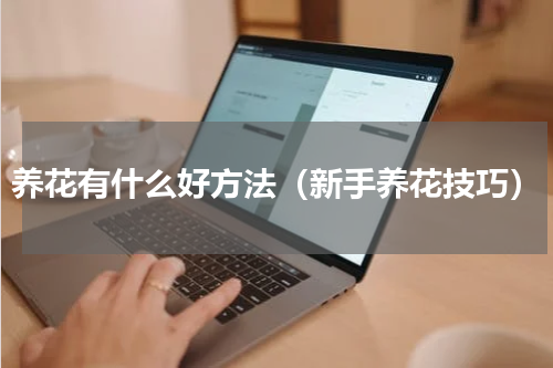养花有什么好方法（新手养花技巧）