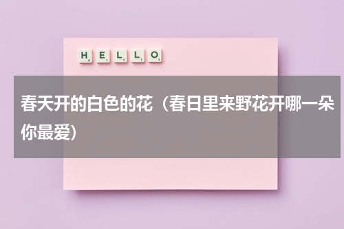 春天开的白色的花（春日里来野花开哪一朵你最爱）