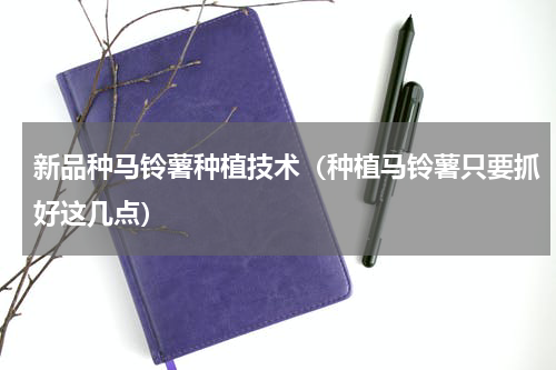 新品种马铃薯种植技术（种植马铃薯只要抓好这几点）