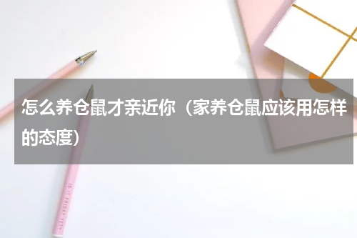 怎么养仓鼠才亲近你（家养仓鼠应该用怎样的态度）