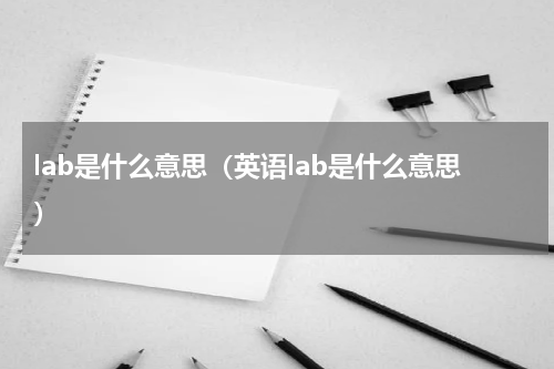 lab是什么意思（英语lab是什么意思）