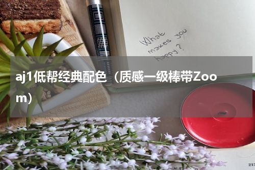 aj1低帮经典配色（质感一级棒带Zoom）