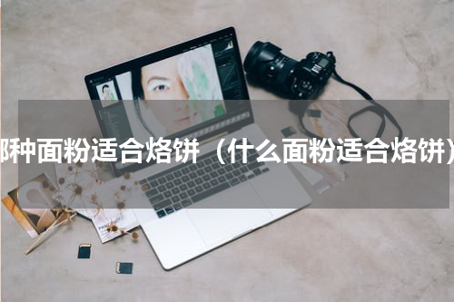 哪种面粉适合烙饼（什么面粉适合烙饼）