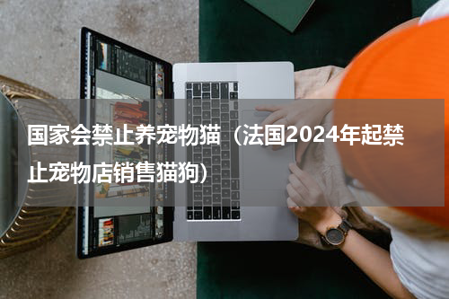 国家会禁止养宠物猫（法国2024年起禁止宠物店销售猫狗）