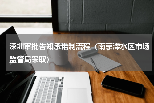 深圳审批告知承诺制流程（南京溧水区市场监管局采取）