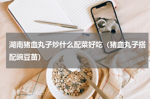 湖南猪血丸子炒什么配菜好吃（猪血丸子搭配豌豆苗）