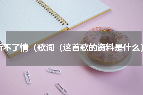 新不了情（歌词（这首歌的资料是什么）