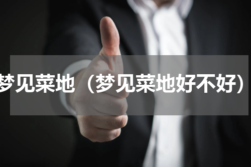 梦见菜地（梦见菜地好不好）