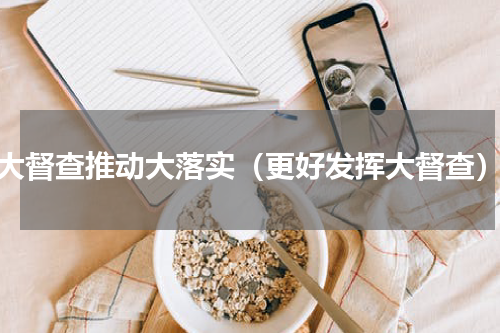 大督查推动大落实（更好发挥大督查）