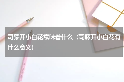 司藤开小白花意味着什么（司藤开小白花有什么意义）