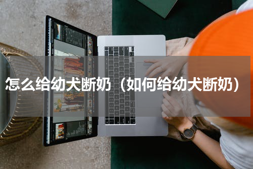 怎么给幼犬断奶（如何给幼犬断奶）