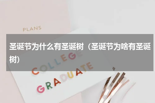 圣诞节为什么有圣诞树（圣诞节为啥有圣诞树）