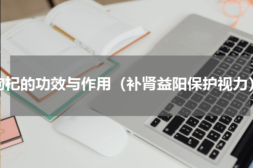枸杞的功效与作用（补肾益阳保护视力）