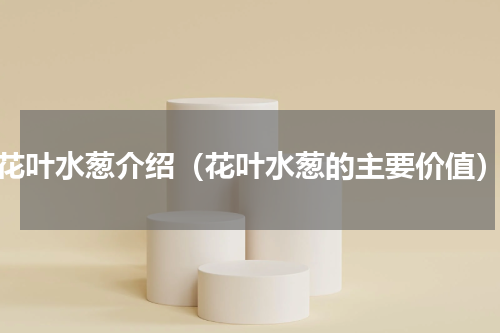 花叶水葱介绍（花叶水葱的主要价值）